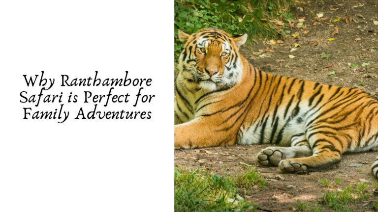 Why Ranthambore Safari is Perfect for Family Adventures