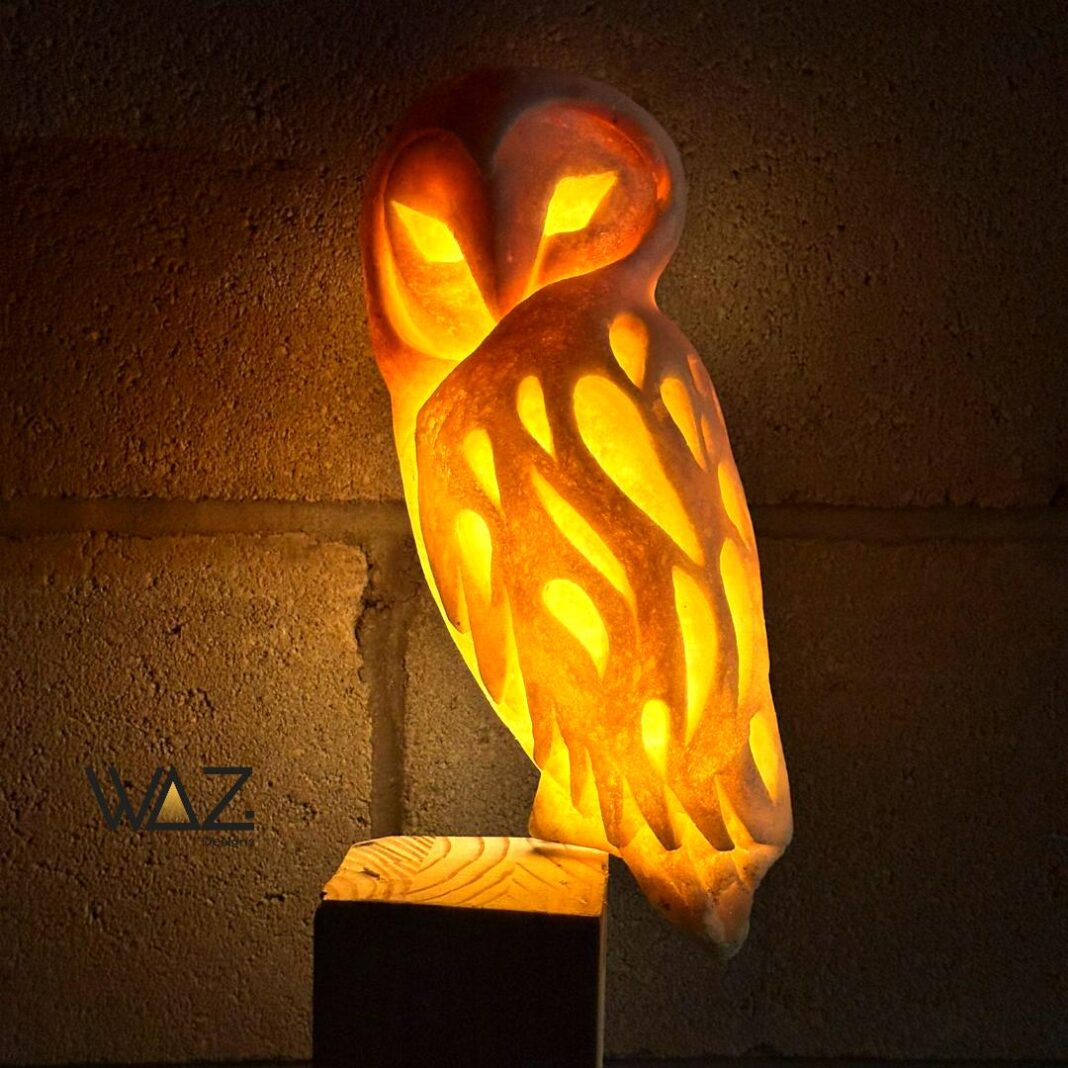 Owl lamp