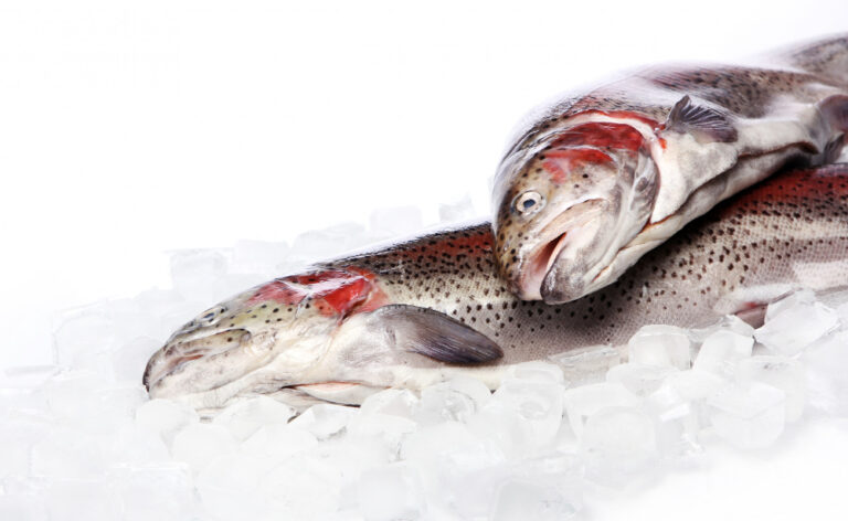 The best methods of cooking frozen fish without flavor loss.