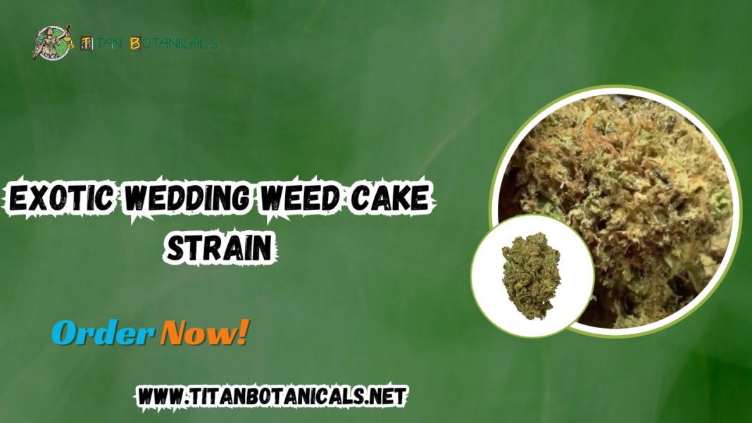 Exotic Wedding Weed Cake Strain