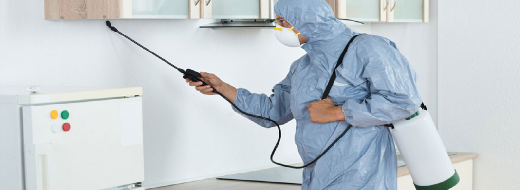 Best Fumigation Services in Lahore – Fast & Safe