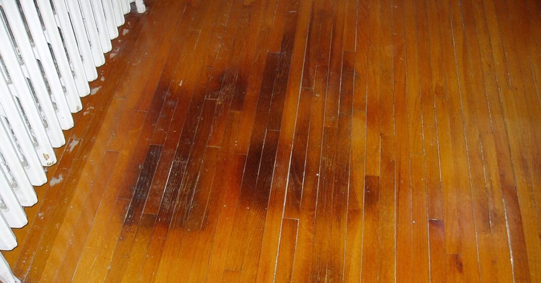 How To Remove The Urine Odor From The Hardwood Floors?