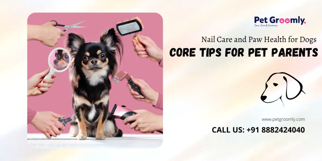 Nail Care and Paw Health for Dogs