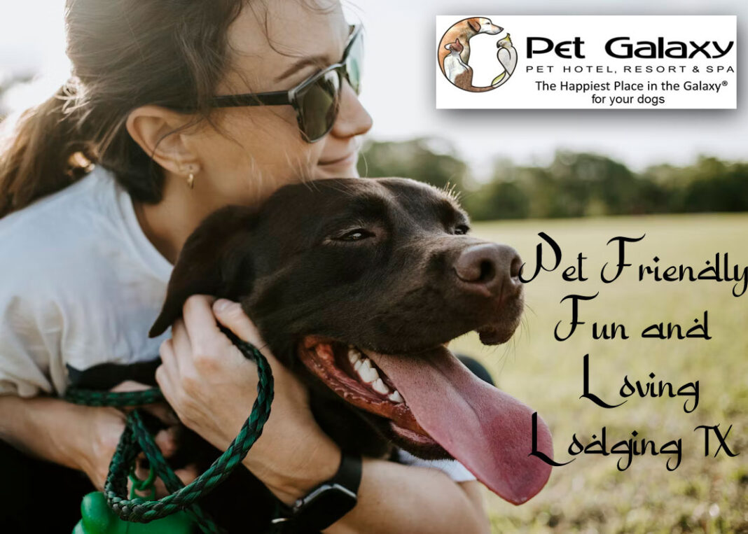 pet friendly fun and loving lodging TX