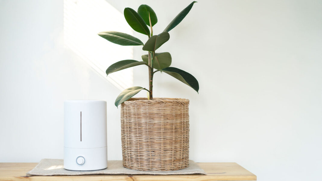 Can An Air Purifier Help With The Weed Smell?