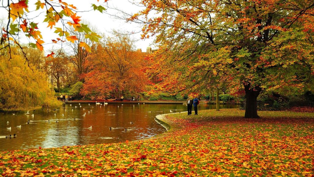 St. Stephens Green