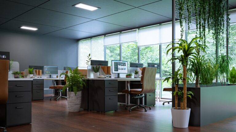 Office Plants vs. Artificial Plants: What’s Better?