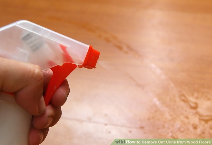 spraying on hardwood floor for cleaning