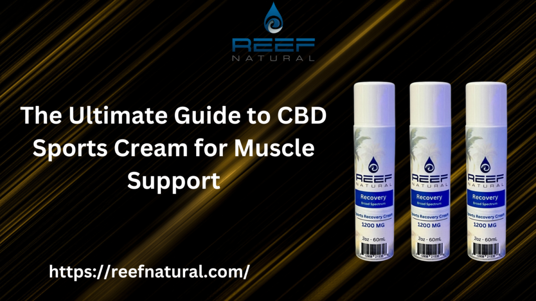 CBD Sports Cream