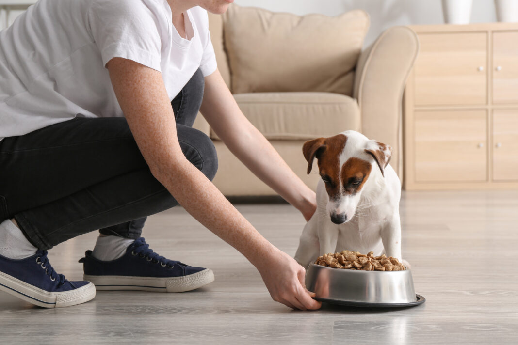 human grade dog food in USA