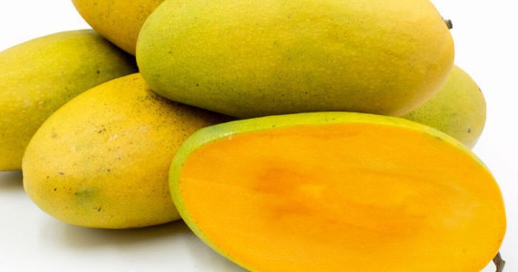 Buy Export Quality Chaunsa Mango with vibrant color and sweet aroma directly from farmers