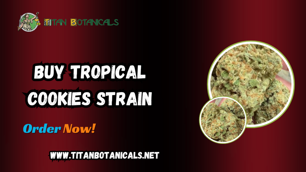 Buy Tropical Cookies Strain