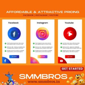 Best SMM Panel India for Social Media Growth with Smmbros