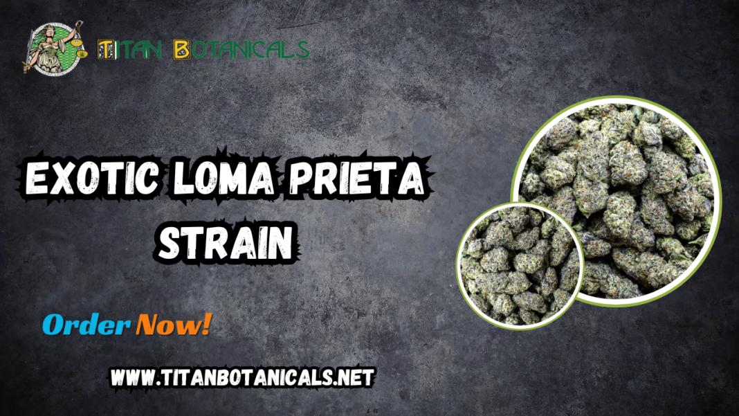 Exotic Loma Prieta Strain