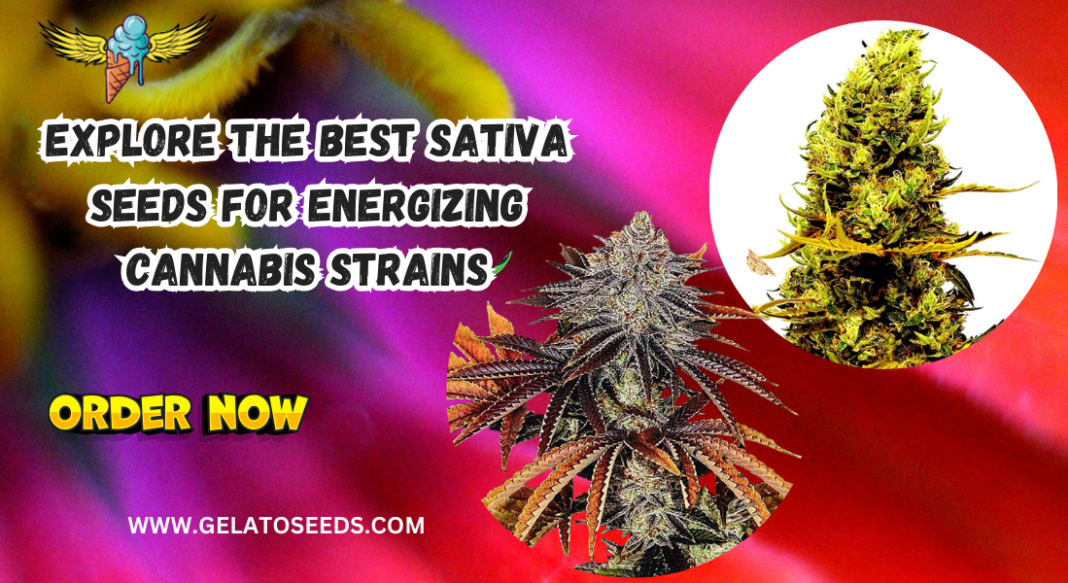 Sativa Seeds