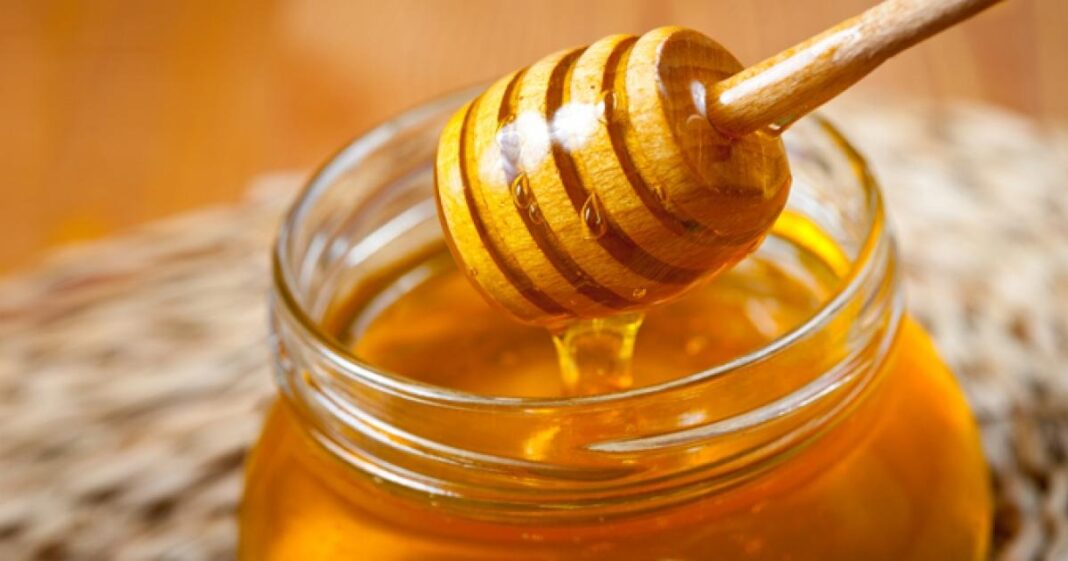 where can I buy Manuka honey,