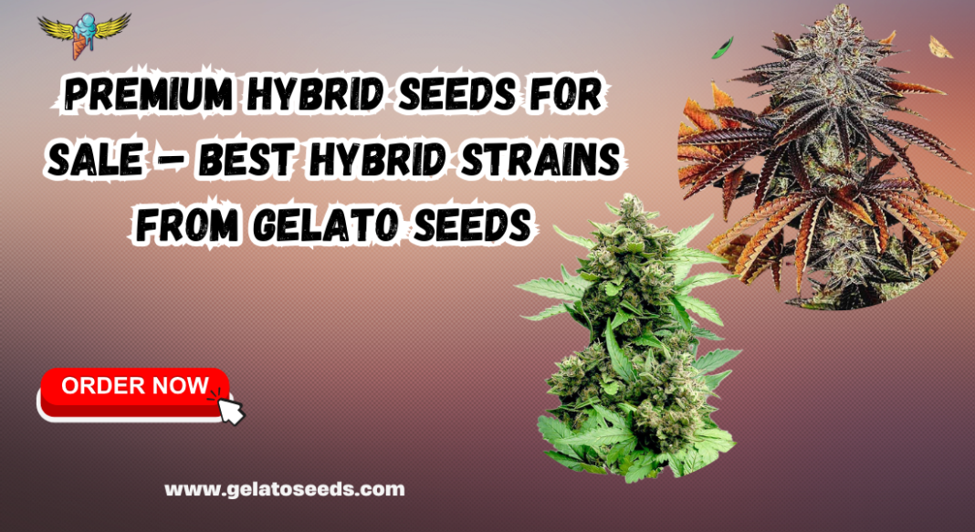 hybrid seeds