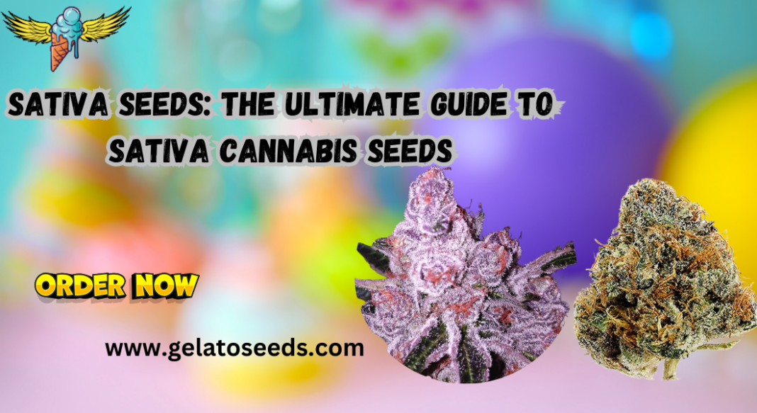 sativa seeds