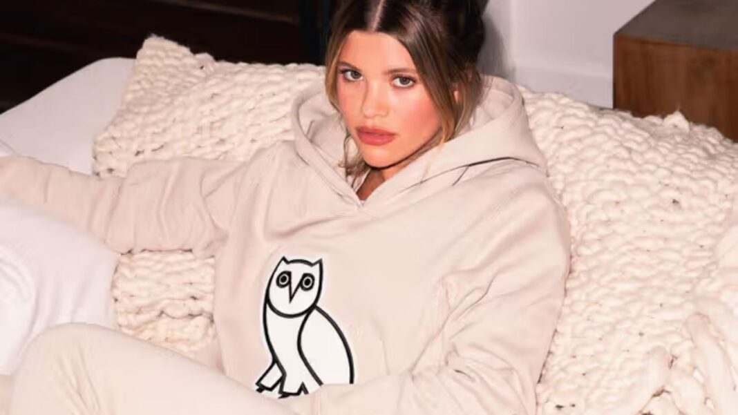 The Evolution of the OVO Hoodie From Underground to Mainstream