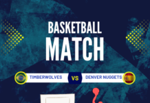 denver nuggets vs timberwolves match player stats