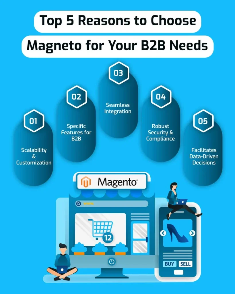 Top 5 Reasons to Choose Magneto for B2B Needs