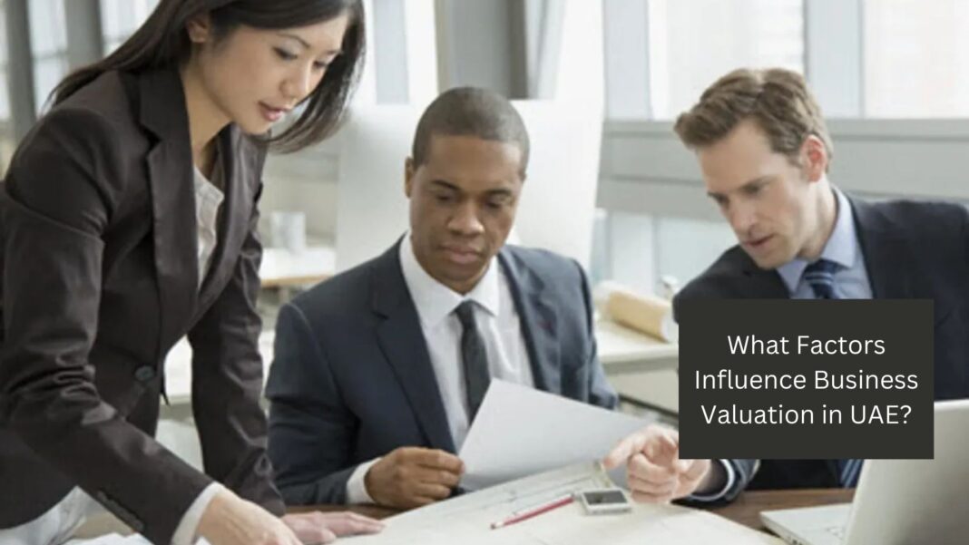 What Factors Influence Business Valuation in UAE