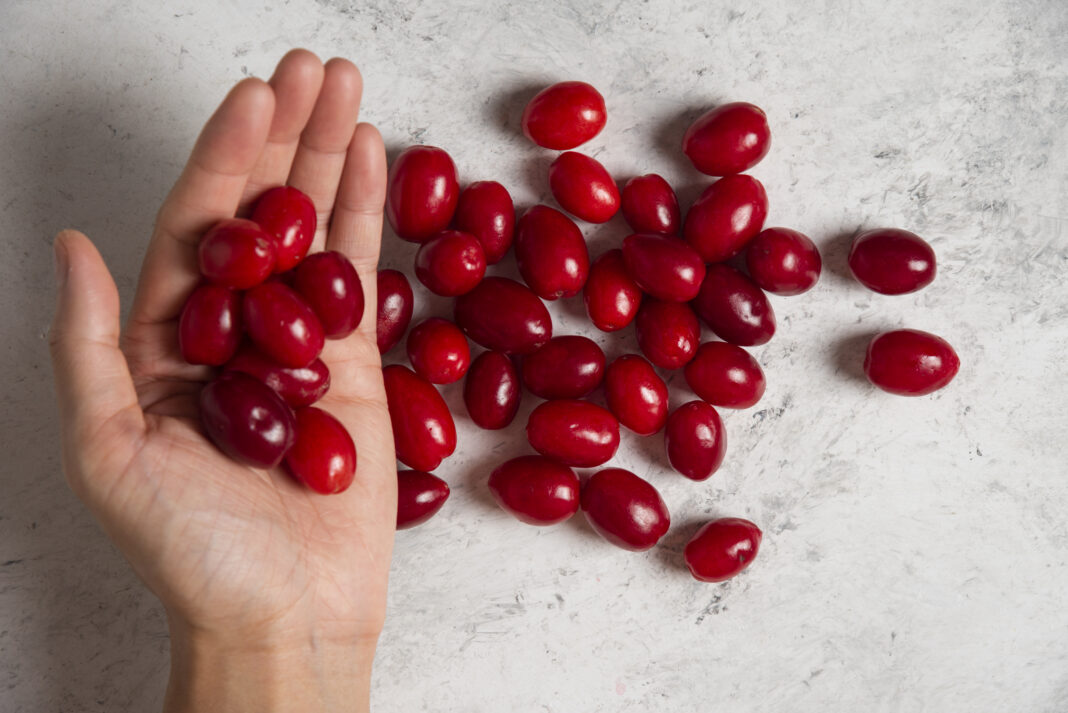 Montmorency Cherry Capsules