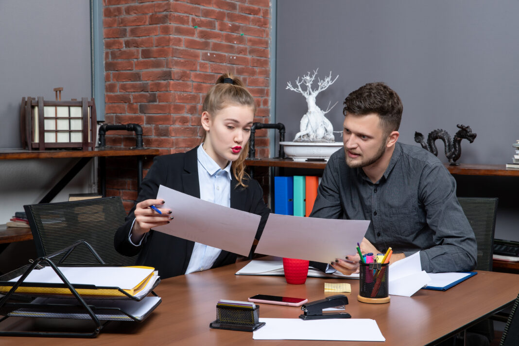 employment law assignment help